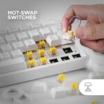 41g4nny2q7l. ac us800