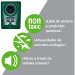 41ggunyap6l. ac us800