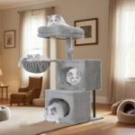 41jnntgvt2l. ac us800