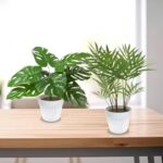 41l03erzmul. ac us800