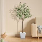 41lzpale1pl. ac us800