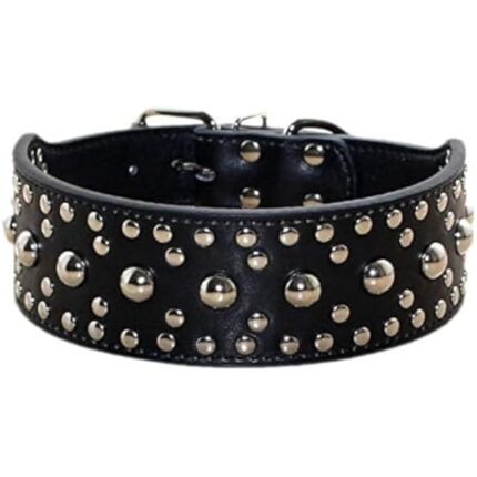 41lwyti4bel. ac us800