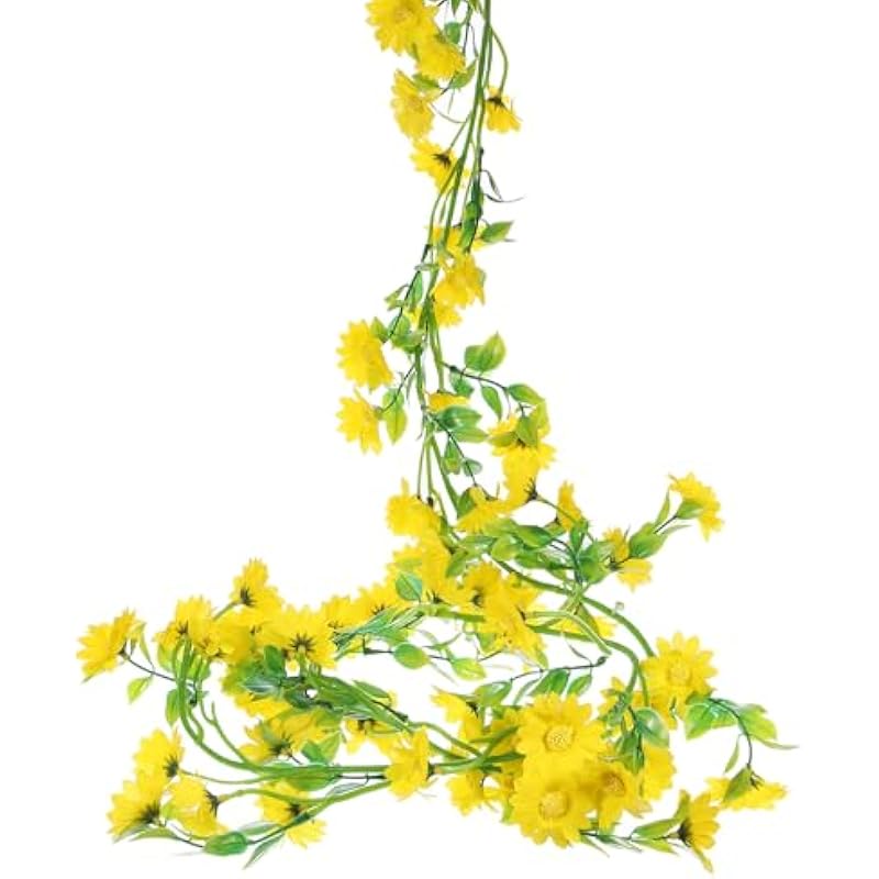 41mydpwvm3l. ac us800