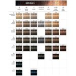 41mbgcleajs. ac us800