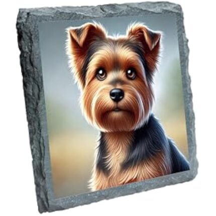 41o60rkkg2l. ac us800