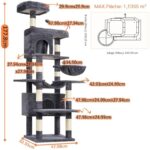 41onbffsljl. ac us800