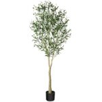 41oncke3q2l. ac us800