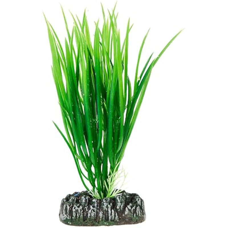 41oozykn2il. ac us800