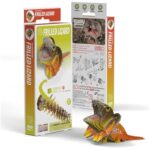 41p0o6fhqbl. ac us800