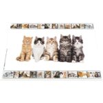 41qgcfvdlzl. ac us800