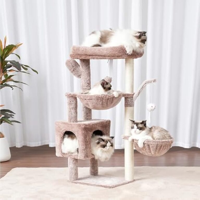 41qgbio1agl. ac us800