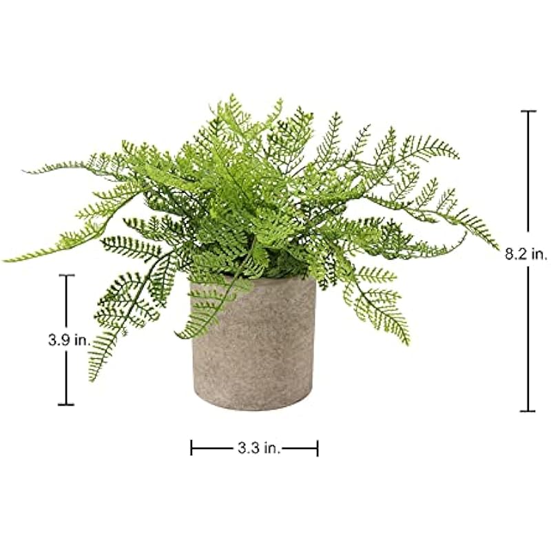 41quva77a2s. ac us800