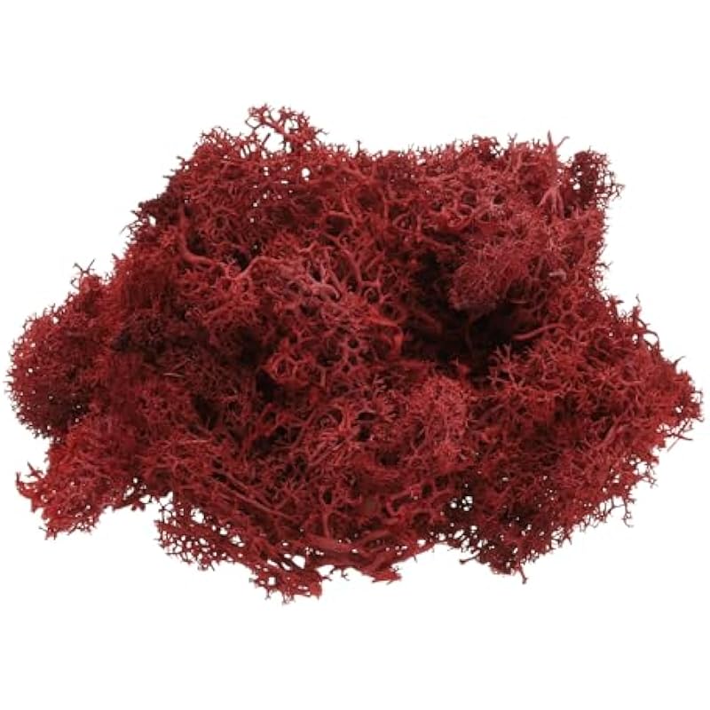 41rg3roewsl. ac us800