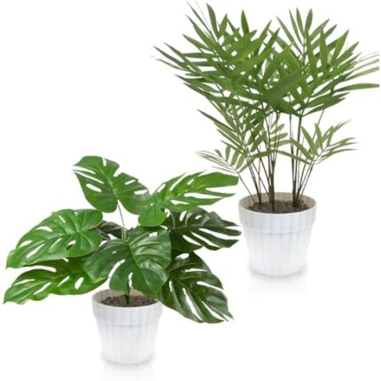 41tcckk31pl. ac us800 