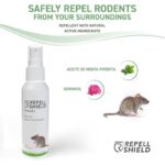 41tvzs8kcvl. ac us800