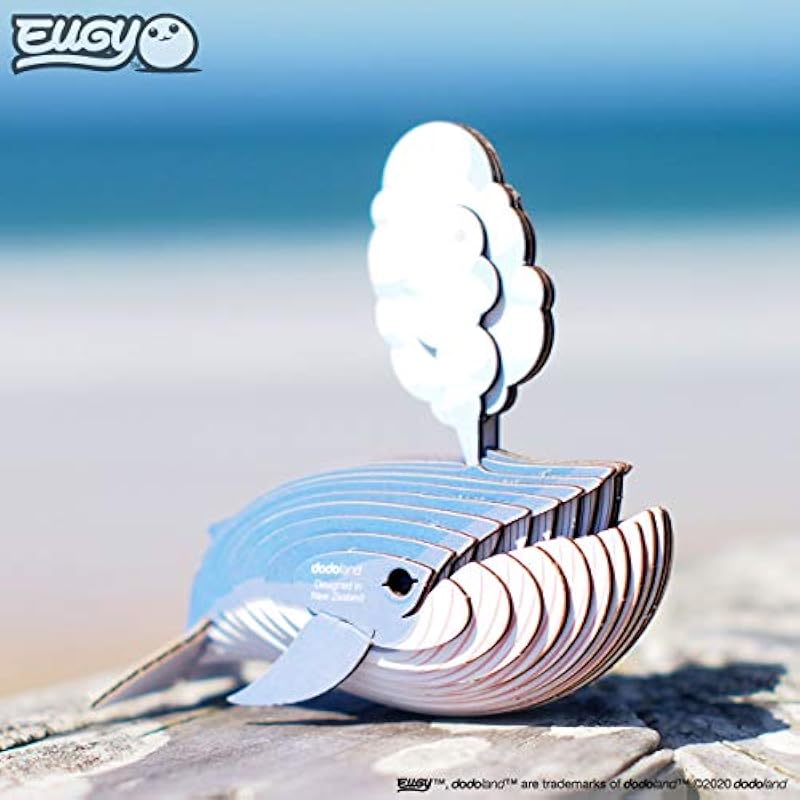 41xpmtfotl. ac us800