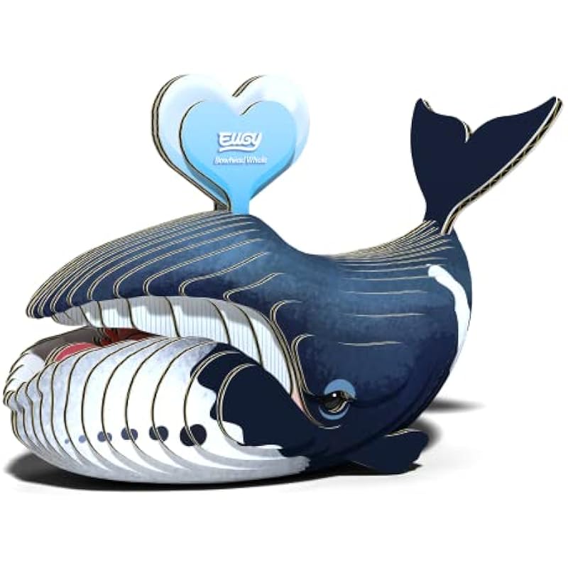 41yr7ydjk8l. ac us800