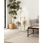 41zzx s b5l. ac us800