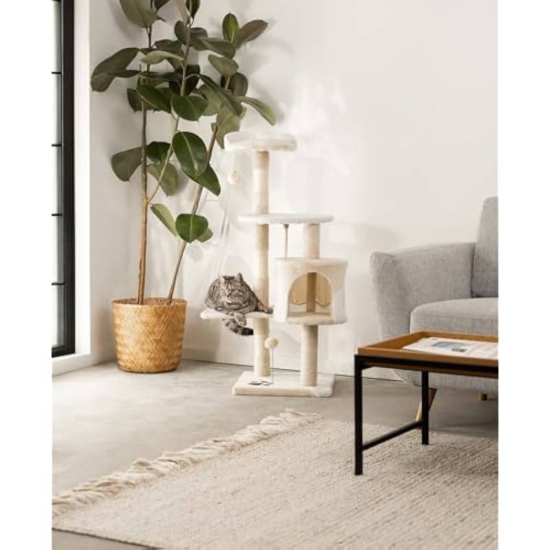 41zzx s b5l. ac us800