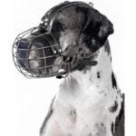 41znksson6l. ac us800