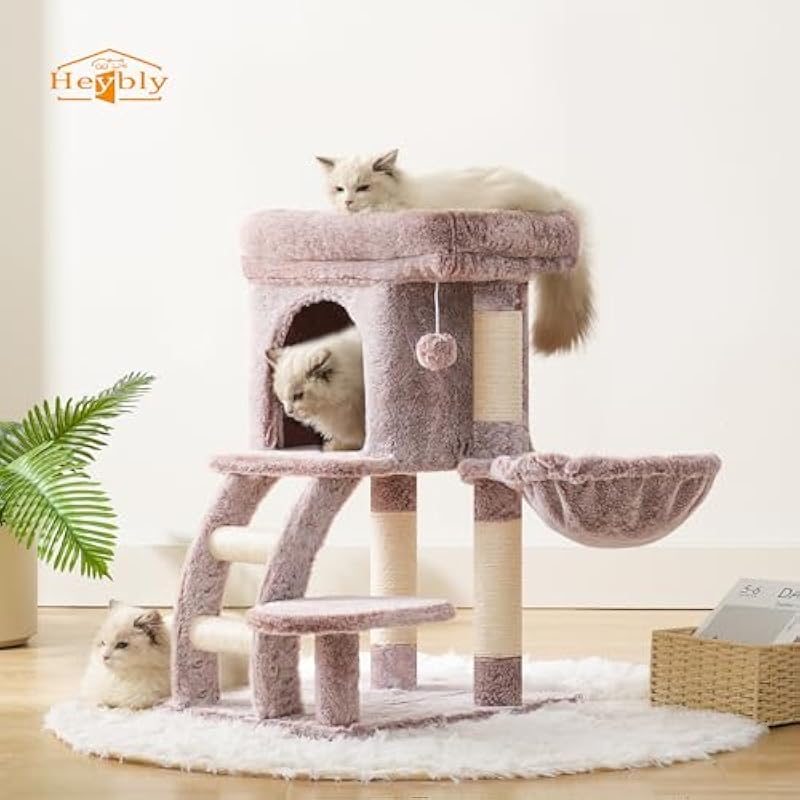 41aaecfmobl. ac us800