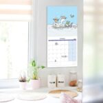 41cxnczeydl. ac us800