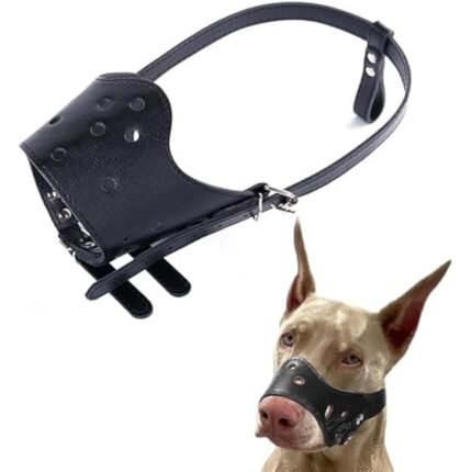 41dcqkit13l. ac us800 