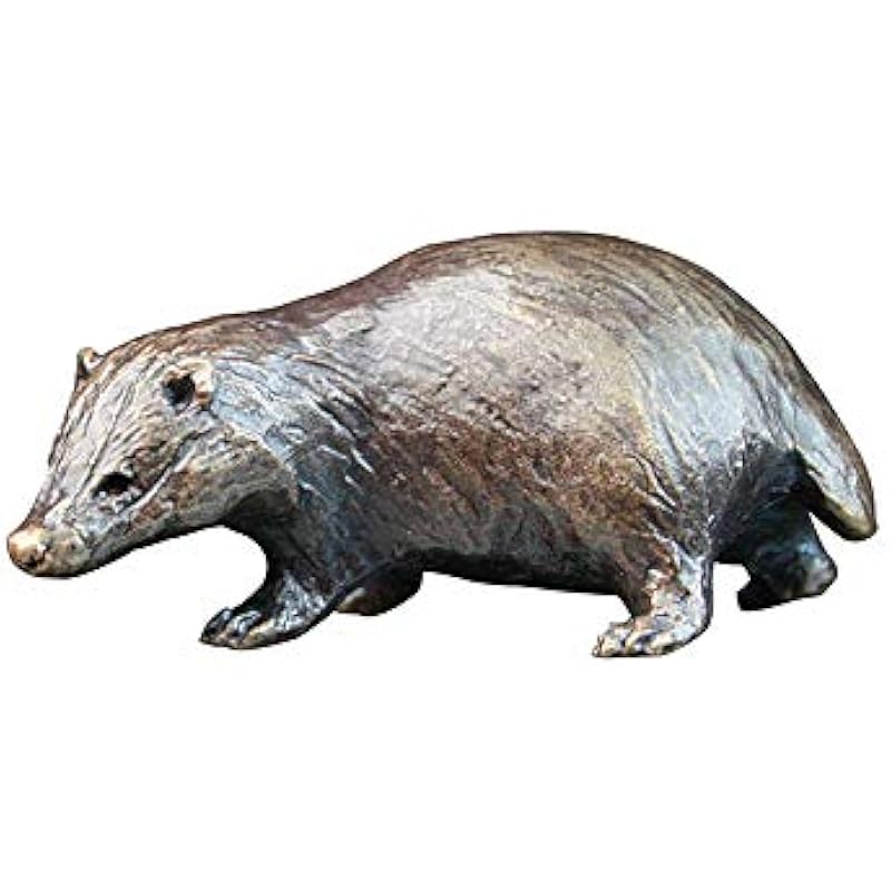 41frewqaql. ac us800