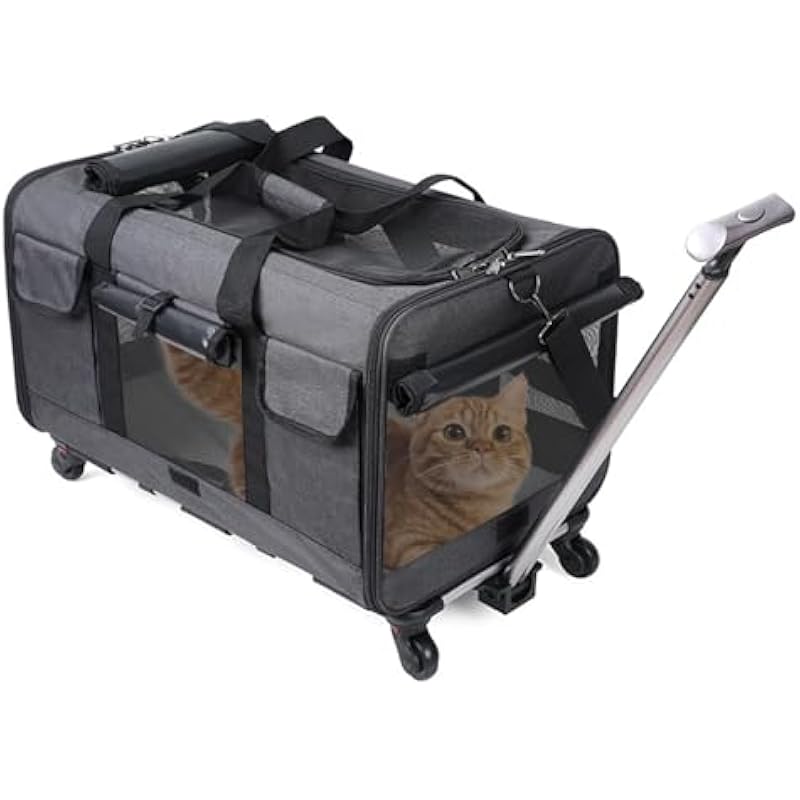 41fsnlrtinl. ac us800