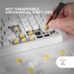 41giqsgsiql. ac us800