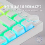 41gp4tgukyl. ac us800