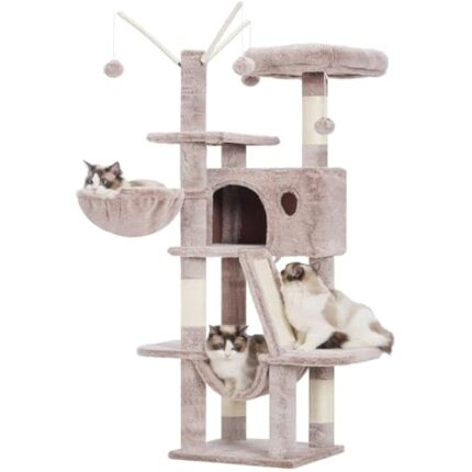 41ibamlzrul. ac us800 