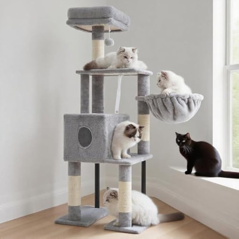 41o0btcrxal. ac us800