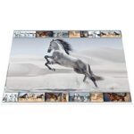 41ogwxoqeel. ac us800