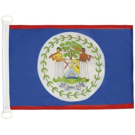 41pxl6rdlql. ac us800