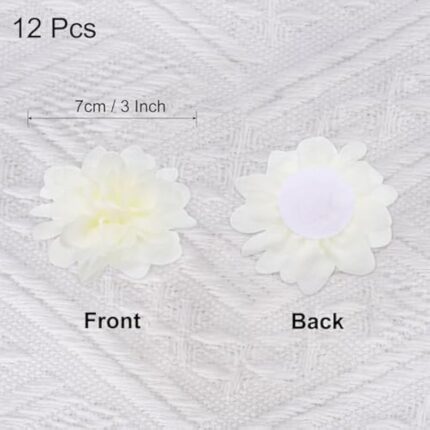 41sdomprynl. ac us800