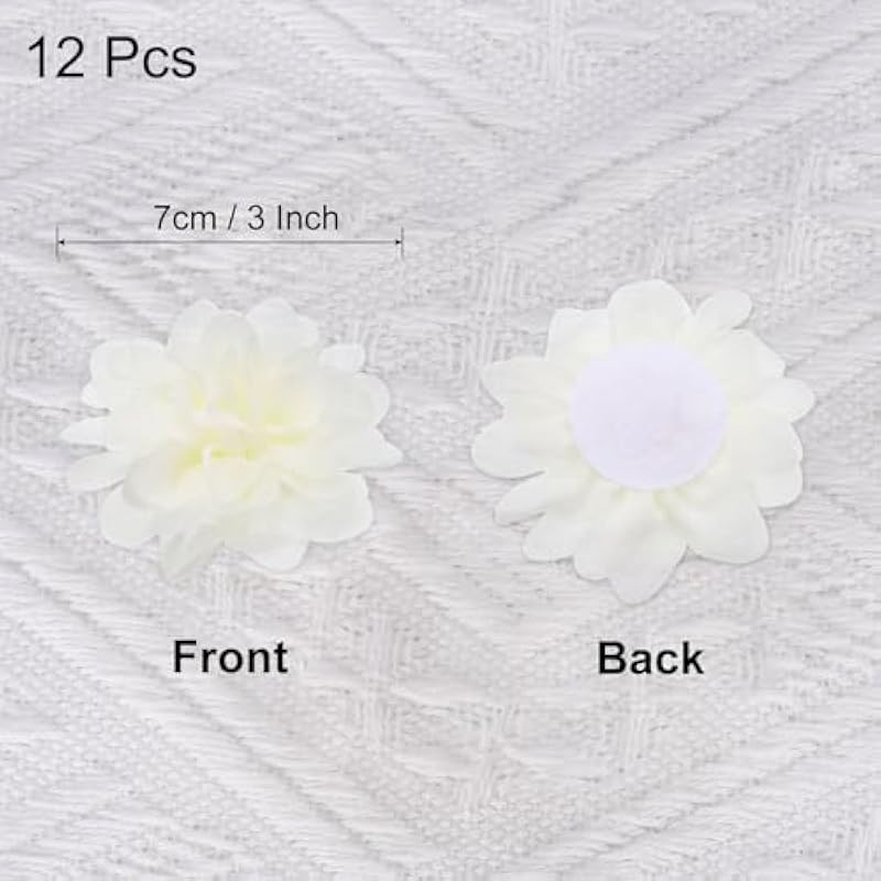 41sdomprynl. ac us800