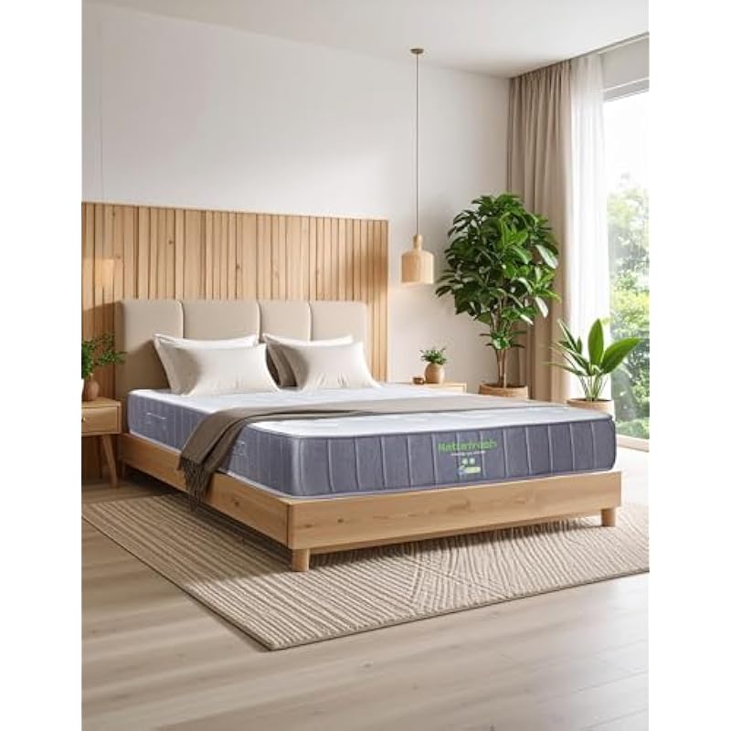 41shudmusel. ac us800