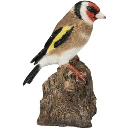 41so9wfij9l. ac us800