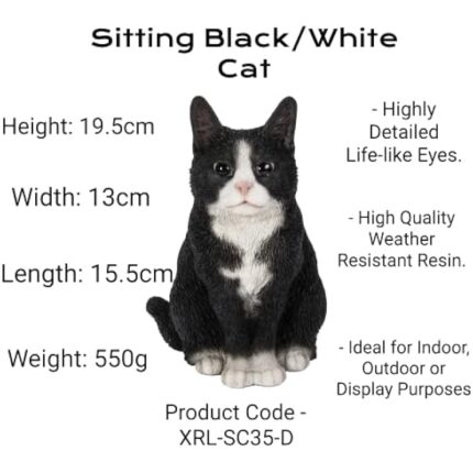 41vidie3iil. ac us800