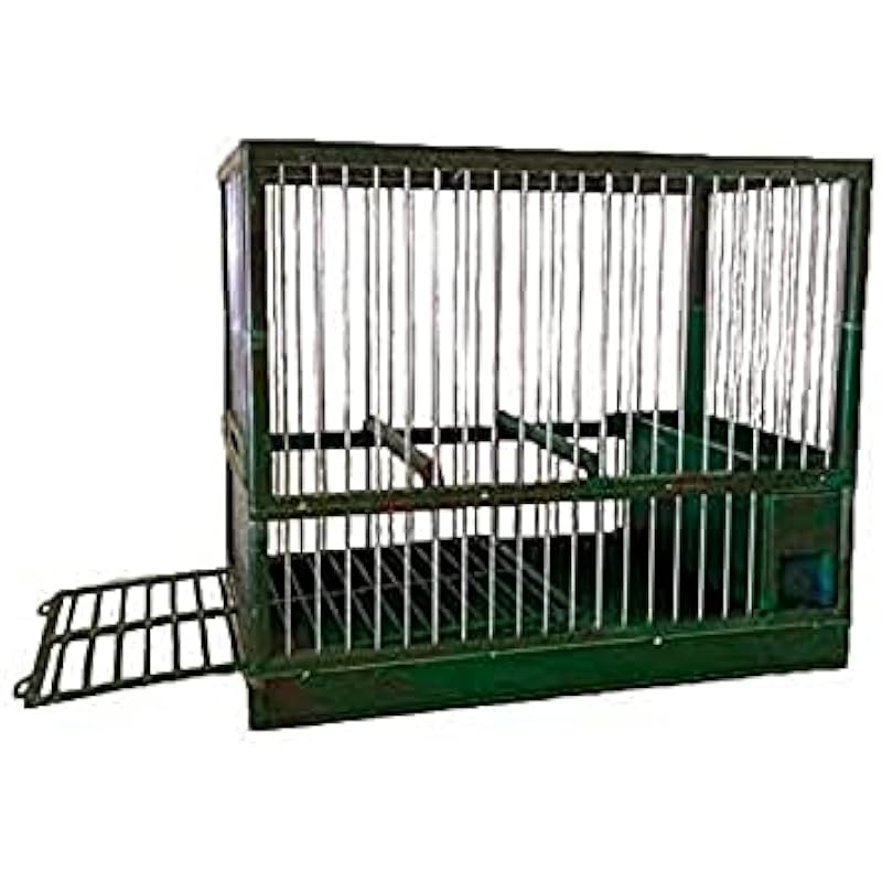 41zlau5qnzl. ac us800