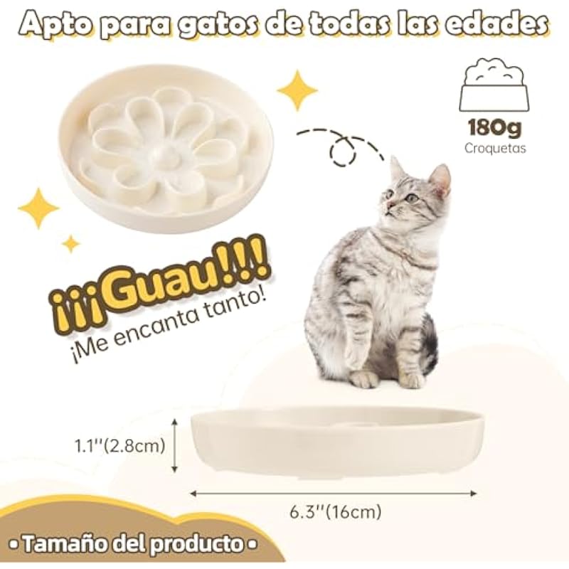 41zntsammpl. ac us800