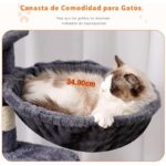 51 zsaudtl. ac us800