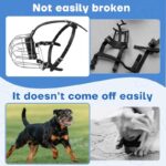 51 bgqxntyl. ac us800