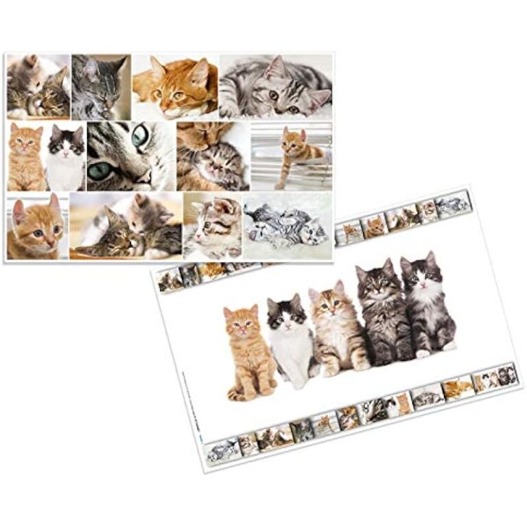 511qcjhbbul. ac us800