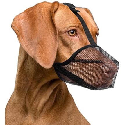 515avm 2nfl. ac us800