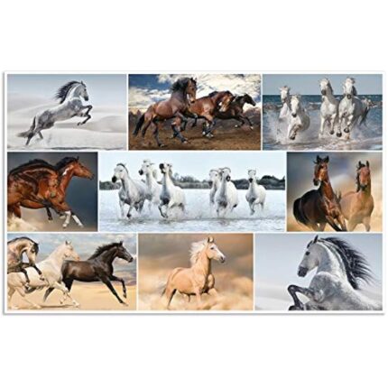 515tsrrsbcl. ac us800