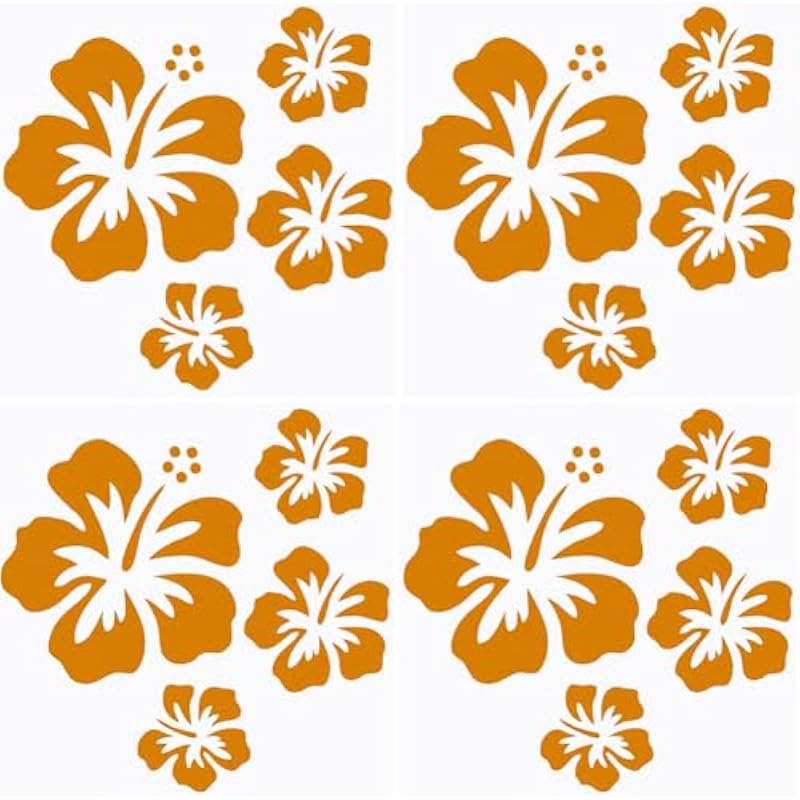 517e2nqovbl. ac us800