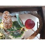 517lmsvwwwl. ac us800