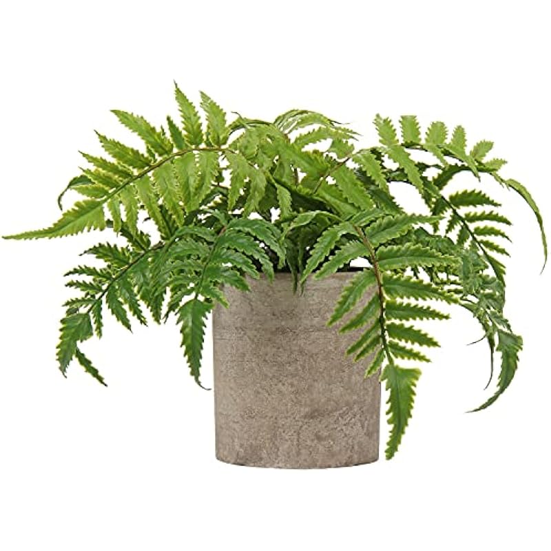 517rwjey0fs. ac us800